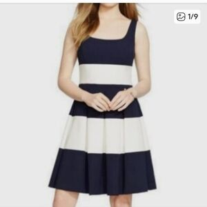 Lauren Ralph Lauren Navy and White Fit & Flare Dress